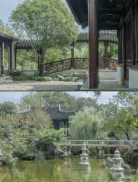 後樂園·初秋｜倦夏伏青，徐徐新秋