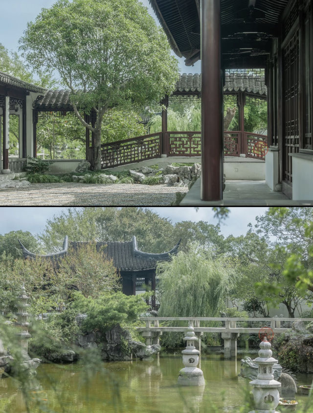後樂園·初秋｜倦夏伏青，徐徐新秋