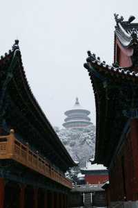 雪後嵩山美出天際！不去長白也能看絕美雪景