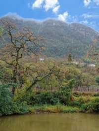 武漢2h直達！中國甜柿第一村，秋天就該這麼玩