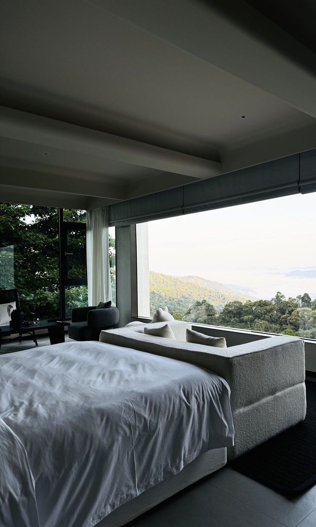 清晨被雲海喚醒 山頂民宿令人心動 清晨被雲海喚醒 山頂民宿令人心動