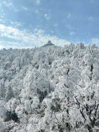 這裡不是阿凡達，是地球上的張家界！