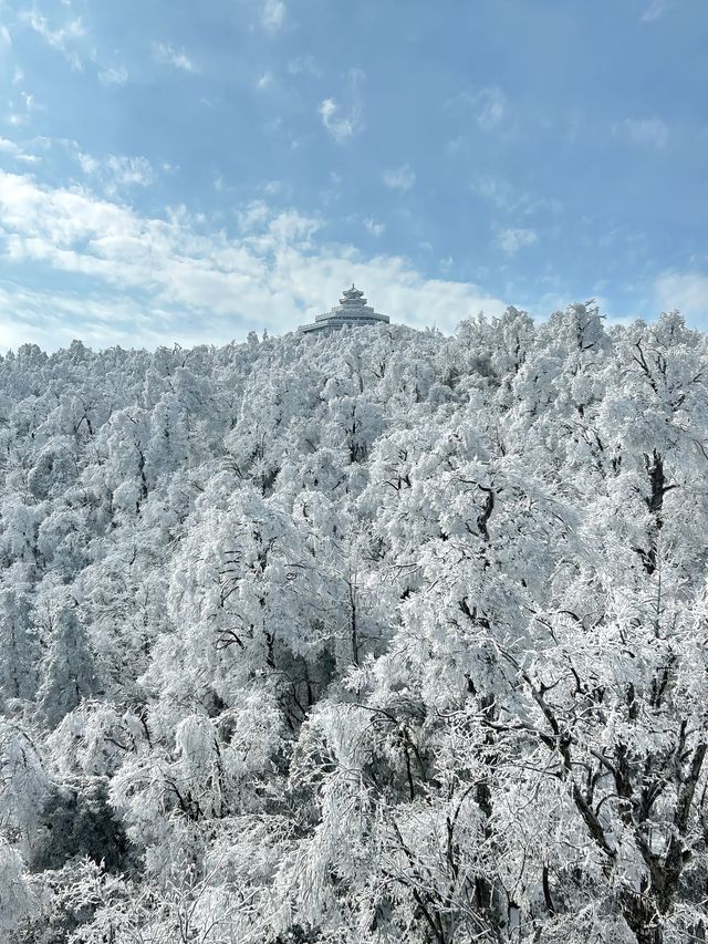 這裡不是阿凡達，是地球上的張家界！