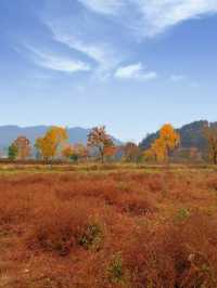 水上紅葉、晨霧牧牛，秋季必打卡的天堂