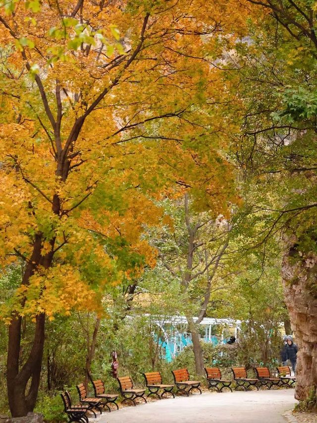 北京南石洋大峽谷｜不必遠赴深山，北京城西就藏著秋日童話。