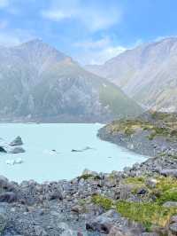 타스만 빙하 호수 완벽 여행 가이드