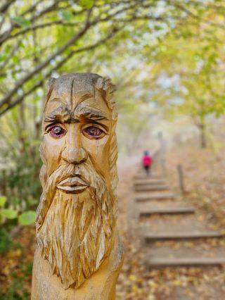 ไปเดินป่ากับเด็กๆ ที่เยอรมนีกันที่ไหนดี? ทริปครึ่งวันไป Devil's Wall นี่สุดยอดไปเลย!