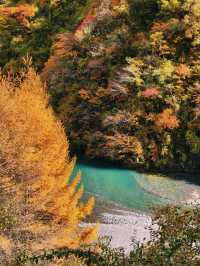 綿陽寶藏賞秋地 | 扒昔加古寨,免費解鎖秋日童話!