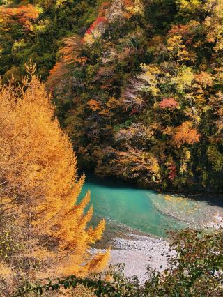 Mianyang's Hidden Autumn Treasure | Baxijia Ancient Village, Unlock the Autumn Fairy Tale for Free!