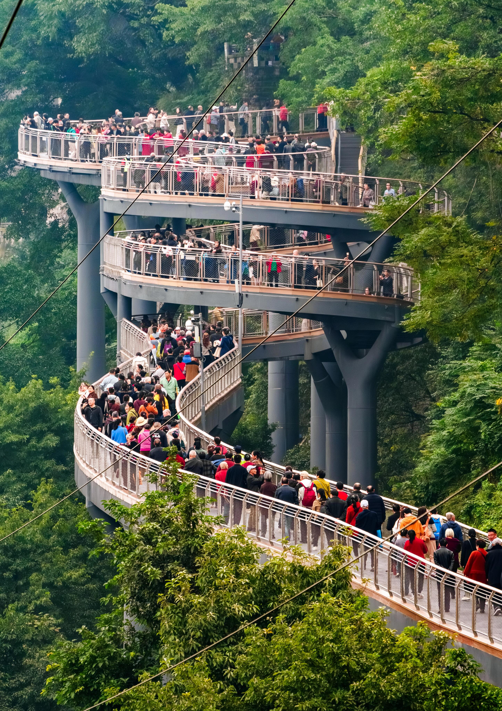Penurunan suhu baru-baru ini sangat cocok untuk jalan-jalan di kota! Kedua tempat ini ideal untuk bersantai dan menghirup udara segar. Seluruh rute di sepanjang jalur tebing bukit plus Taman Eling sangat detail, dan bahkan ada spot foto! Delapan belas foto saja tidak cukup untuk memuat semuanya!

🎫Tiket Masuk: Gratis

🚈Transportasi: Pertama, naik Jalur 1 ke Stasiun Daping, Keluar 5 (atau arahkan ke TK Jingde No. 2, pintu masuknya ada di sebelahnya). Setelah itu, Anda dapat naik Jalur 1 ke Stasiun Eling.

⏰Jam Buka: Jalur Tebing Half-Mountain: Sepanjang hari; Taman Eling: 06.00-22.00

Spot Foto Jalur Tebing Half-Mountain:

🟢Dinding Merah: Koridor panjang dari pintu masuk dilapisi dinding merah, sempurna untuk mengambil foto bergaya retro dan modern Tiongkok.

🟢Jalan Tebing: Spot foto populer lainnya. Melihat ke luar menawarkan pemandangan panorama kota Chongqing, sementara melihat ke dalam menyuguhkan pemandangan hijau yang menenangkan.

🟢Kereta Menuju Musim Semi: Ini juga merupakan objek wisata musiman. Untuk melihat bunga sakura, Anda harus menunggu hingga musim semi, ketika bunga-bunga tersebut mekar di bulan Februari dan Maret.

🟢Patung Perunggu Yang Angong: Patung martir ini juga merupakan tempat perhentian di sepanjang rute menuju Eling. Berikut daftar tempat untuk mengikuti petunjuk arah:

🟢Pemandangan Malam: Buka sepanjang hari, dan pada hari yang cerah Anda dapat keluar sedikit lebih lama untuk melihat matahari terbenam dan pemandangan malam.

Tempat Berfoto di Taman Eling:

🟢Vila Exiang: Buka pukul 09.00-18.00. Banyak tempat berfoto di sana, termasuk sudut pandang "Jendela Kota" yang populer.

🟢Kolam Teratai: Sebuah danau besar yang dikelilingi koridor bergaya retro, sempurna untuk berfoto dengan mengenakan Hanfu dan pakaian bergaya Tiongkok lainnya.

🟢Jembatan Tali: Anda mungkin mengira ini Jiangnan (wilayah di selatan Sungai Yangtze). Danau dan jembatan lengkungnya benar-benar membangkitkan nuansa Jiangnan. Bahkan ada ikan mas di danau!

🟢Raja Pohon Centennial: Pohon yang sangat, sangat besar, sungguh spektakuler.

🟢Menara Pengamatan: Anda bisa naik ke lantai atas untuk pemandangan yang lebih indah, juga sempurna untuk menyaksikan matahari terbenam.