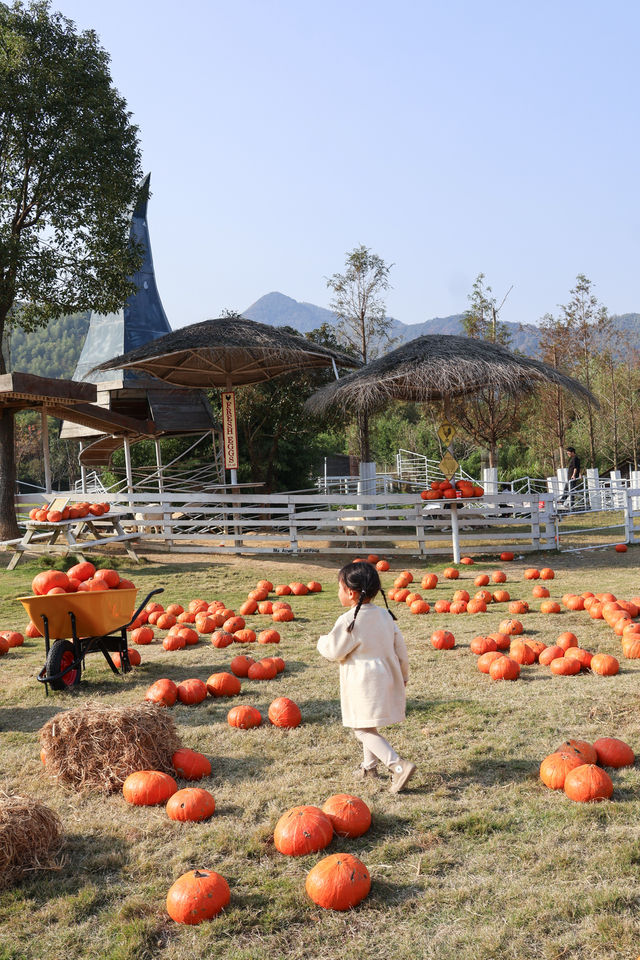 莫干山親子遊必去這個農場娃玩到不肯回家