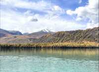 太難了!終於把喀納斯旅遊攻略搞清楚了