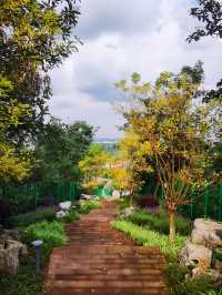雨過天晴的自貢鳶山公園