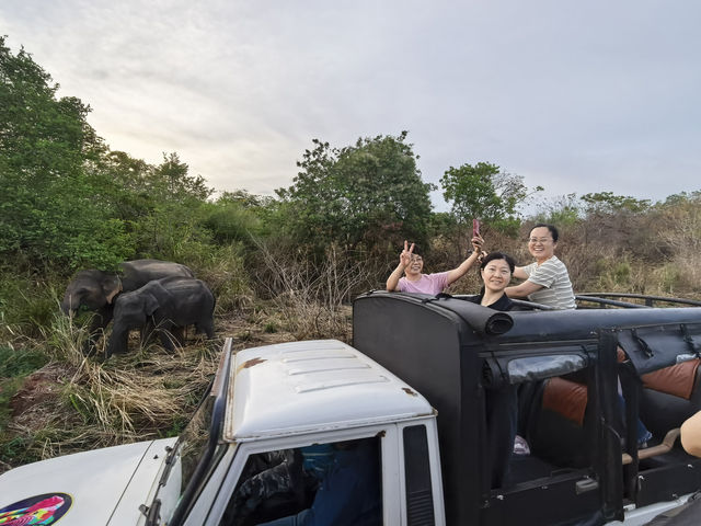 斯里蘭卡，更適合學生黨的高性價比之選！