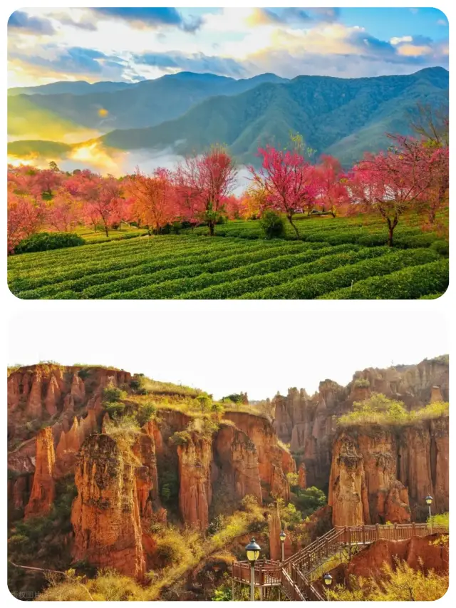 7 จุดหมายปลายทางท่องเที่ยวที่เหมาะสำหรับเดือนธันวาคม-มกราคม: ดอกไม้ วิวหิมะ และทุ่งนาขั้นบันไดที่อาบไปด้วยแสงและเงา!