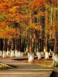 南昌｜是秋天的味道