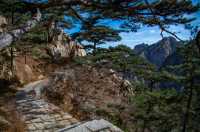 泰山初冬限定詩意，松濤彩霞共織溫柔畫卷