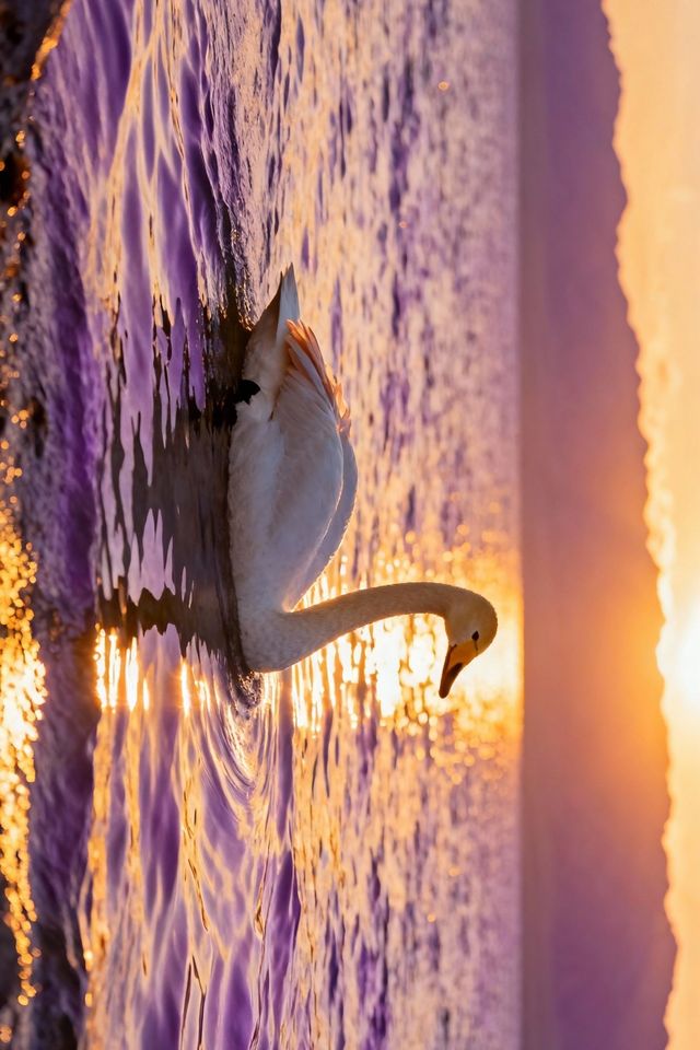 賽里木湖的藍，直接封神！｜每一幀都是視覺洗禮