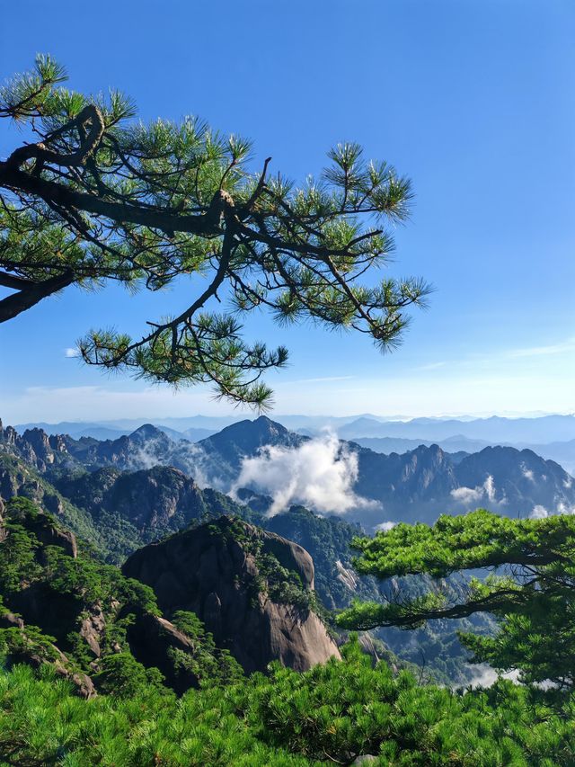 黃山30小時極限挑戰：兩天一夜保姆級攻略，解鎖100%精華體