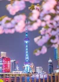 夜櫻暴擊!北外灘晚櫻秘境美到犯規!