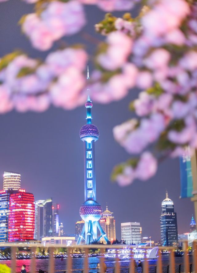 夜櫻暴擊!北外灘晚櫻秘境美到犯規! 夜櫻暴擊!北外灘晚櫻秘境美到犯規!