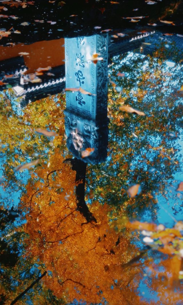 南京靈谷寺賞秋秘境