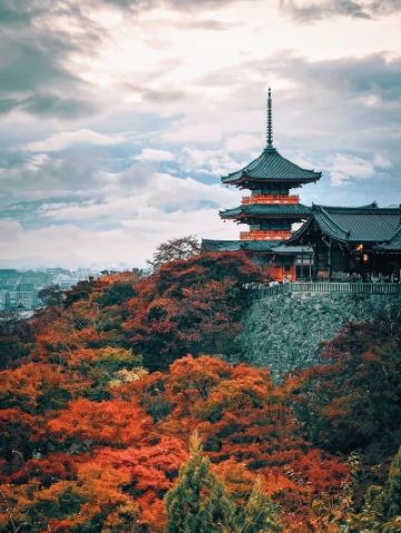 คู่มือสุดยอดสำหรับการชมใบไม้เปลี่ยนสีในเกียวโตมาถึงแล้ว!