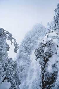 雪山霧淞下的冰雪世界美出nextlevel