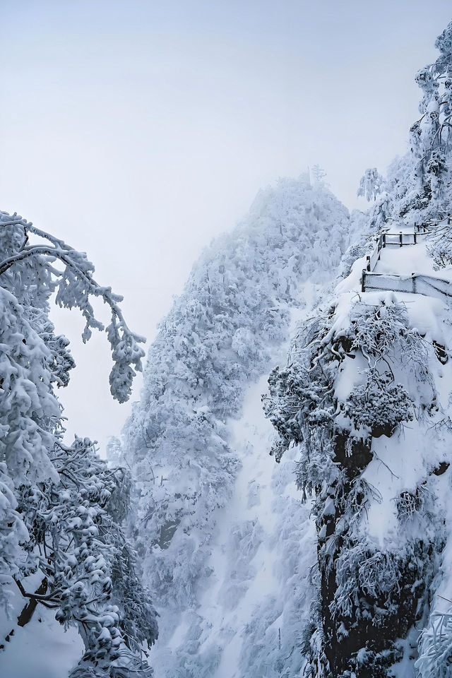 雪山霧淞下的冰雪世界美出nextlevel 雪山霧淞下的冰雪世界美出nextlevel