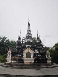 西雙版納市區不得不去的曼聽公園和總佛寺
