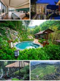 杭州自駕1.5h 隱匿於茶山竹海的隱世桃源