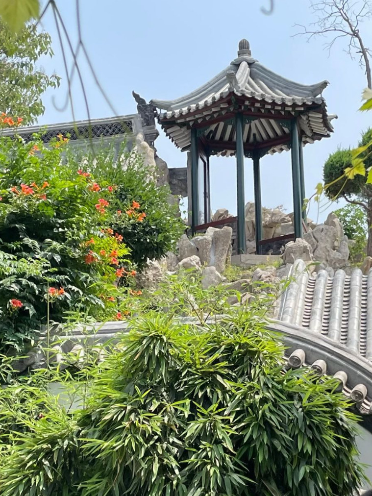 濰坊小眾玩法大公開！除了蘿蔔還有這些必打卡