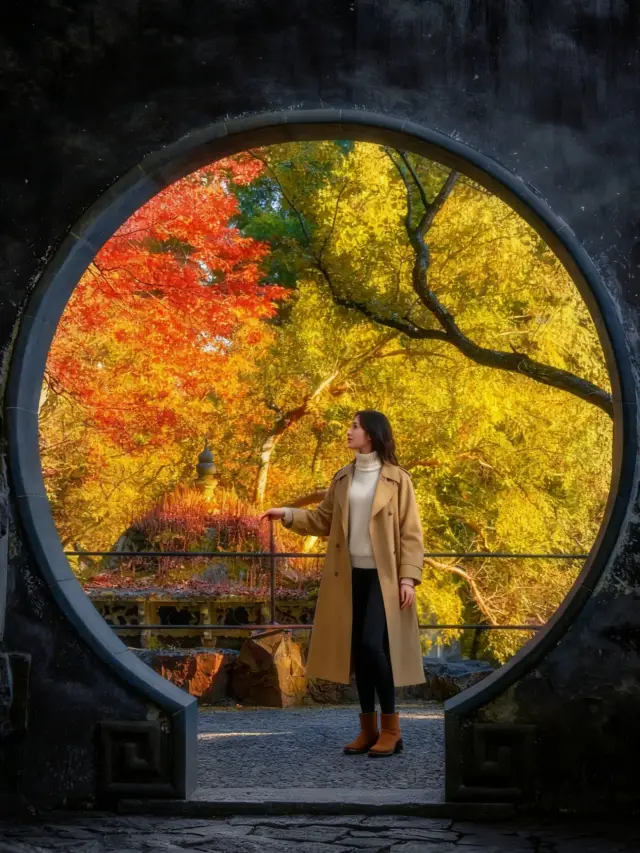 Suzhou Autumn Viewing Nanny-Level Guide | Drink in the Autumn Charm of Jiangnan When ginkgo trees dye ancient alleys golden, and metasequoias reflect crimson clouds on the lake, Suzhou's autumn