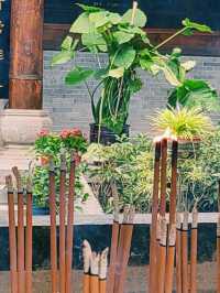 鐘南山下一眼千年的古樹