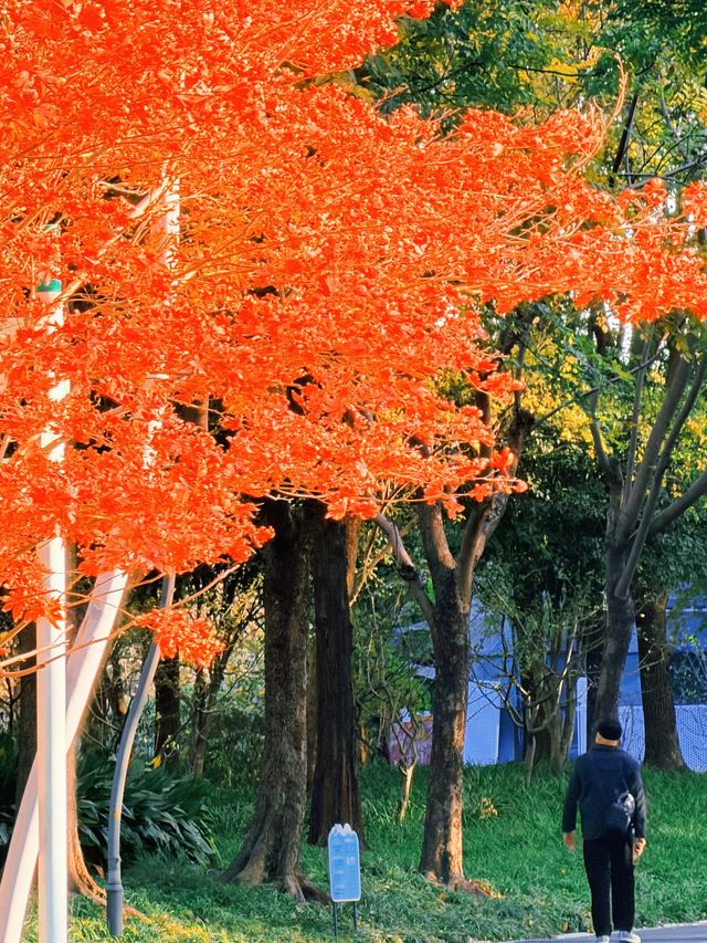 上海黃浦南園遊玩全攻略來了!!! 上海黃浦南園遊玩全攻略來了!!!