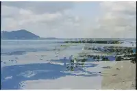 5203,海邊的風景、曝光的意外