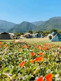 肇慶寶藏露營地！SOUL營躺平也太爽了吧