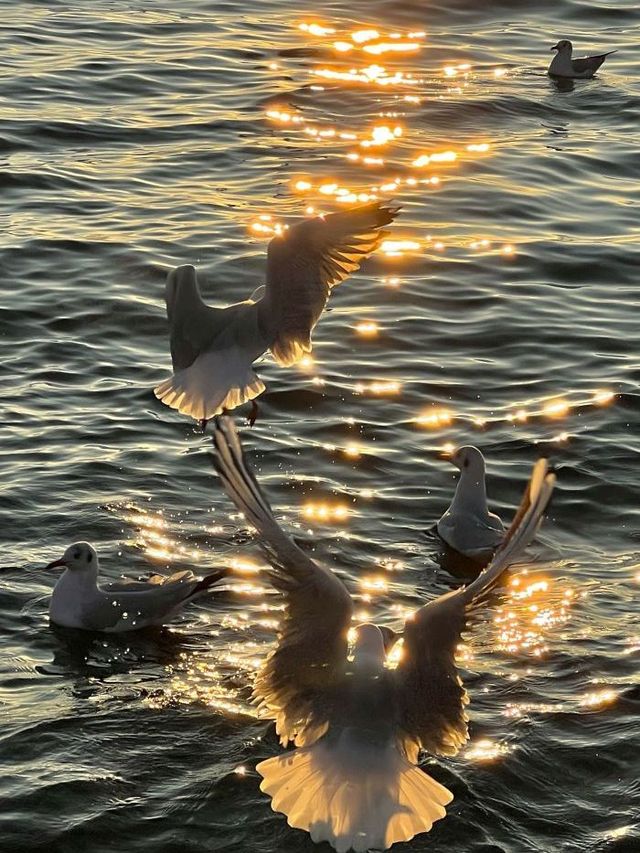 3天玩透大理白族自治州超省心攻略來了 3天玩透大理白族自治州超省心攻略來了