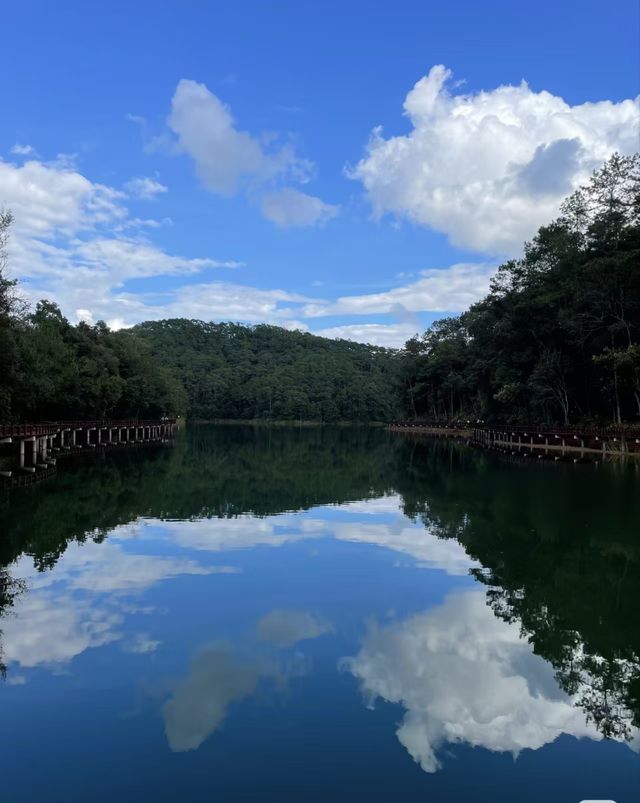雲南普洱|「梅子湖公園」城市裡的天然氧吧 雲南普洱|「梅子湖公園」城市裡的天然氧吧