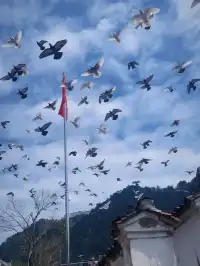 連續兩年九華山了  這份詳細攻略請收好