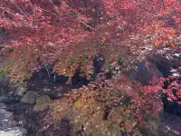 不是京都!實況無調色