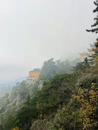 大願地藏王菩薩|九華山-心中真的有了答案