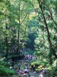 這才是張家界避暑天花板!金鞭溪徒步攻略來了