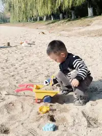 西安周邊藏著童話紅杉林隨手一拍直接封神