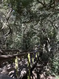 歡迎來到夏天的長白山