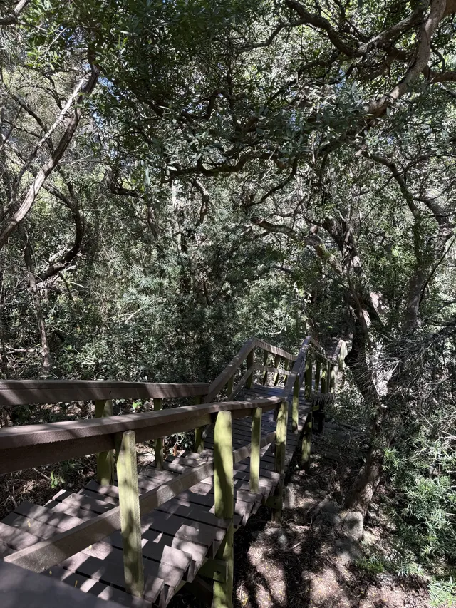 歡迎來到夏天的長白山