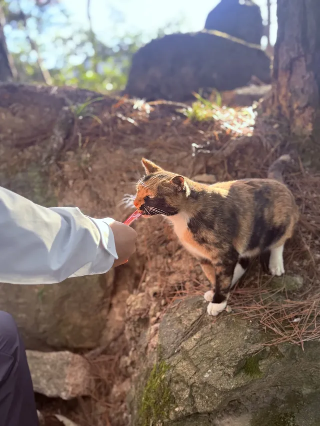 九華山的磁場真的太強了