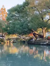 以為西湖的秋天已經夠美了,直到我來到了這裡