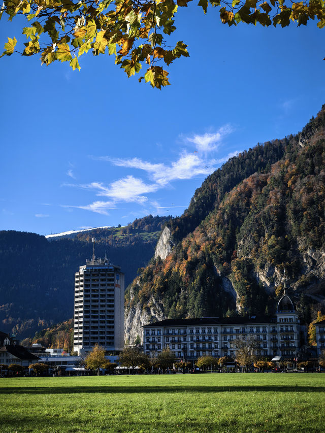 因特拉肯,愛在深秋 因特拉肯,愛在深秋