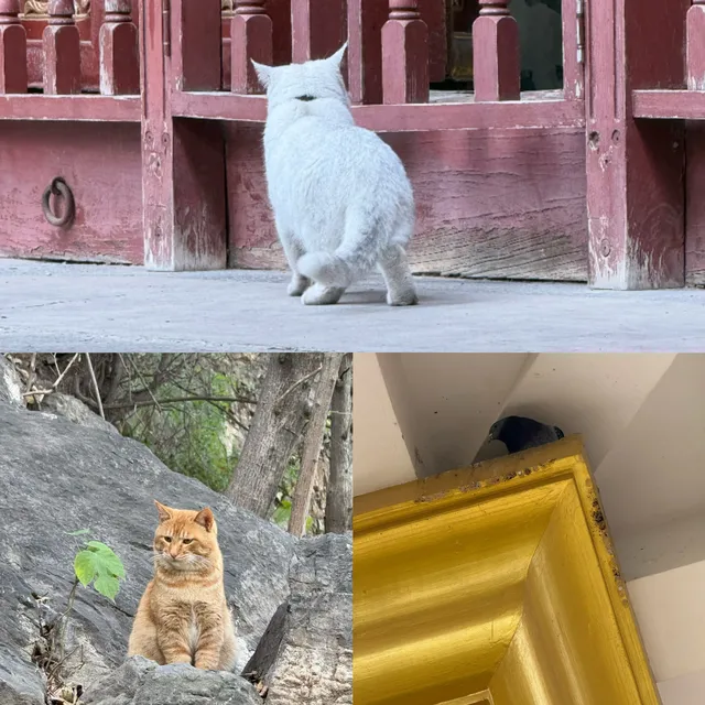 福州-洛陽-開封4天3晚特種兵旅行流水帳 福州-洛陽-開封4天3晚特種兵旅行流水帳